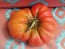 Tomato 'Brandywine'