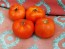 Tomato 'Break O' Day'