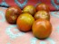 Tomato 'Rosso Bruno' AKA 'Kumato' Seeds (Certified Organic)