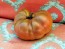 Tomato 'Cherokee Carbon' (Heirloom Marriage)