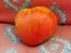 Tomato 'Reif Red Heart' 