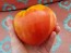 Tomato 'Reif Red Heart' 