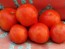 Tomato 'Floradade' Seeds