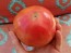 Tomato 'Flathead Monster Pink'