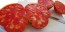 Tomato 'Flathead Monster Pink' Seeds (Certified Organic)