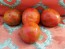 Tomato 'Pink Boar' 