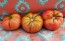 Tomato 'Ferris Wheel' 