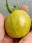 Tomato 'Green Zebra Cherry' Seeds (Certified Organic)