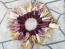 Flint Corn 'Japonica Striped' Seeds (Certified Organic)
