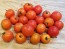 Tomato 'Small Red Cherry'