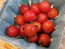 Tomato 'Chadwick's Cherry' AKA 'Camp Joy' 