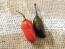 Hot Pepper 'Scarlett's Chili Variegated' Seeds (Certified Organic)