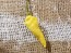 Hot Pepper ‘White Devil's Tongue’ Seeds (Certified Organic)