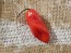 Hot Pepper ‘CGN 21500 x Isabela Island Galapagos Habanero' Seeds (Certified Organic)