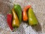 Hot Pepper ‘Cyklon' Seeds (Certified Organic)