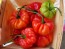 Hot Pepper ‘Aji Cachucha' Seeds (Certified Organic)