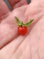 Tomato 'Red Currant'