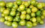 Tomato 'Green Zebra Cherry' Seeds (Certified Organic)