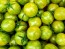 Tomato 'Green Zebra Cherry' Seeds (Certified Organic)