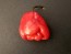 Hot Pepper ‘Bahamian Beast' Seeds (Certified Organic)