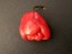 Hot Pepper ‘Bahamian Beast' Seeds (Certified Organic)