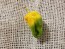 Hot Pepper ‘Lemon Reaper Cross’ (Aji Lemon x Carolina Reaper) Seeds (Certified Organic)