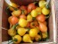 Hot Pepper ‘Biquinho Yellow’ Seeds (Certified Organic)