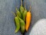 Hot Pepper ‘Orange Thai’ Seeds (Certified Organic)