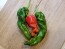 Hot Pepper ‘Hangjiao (HJ8) Total Eclipse Space Chili’ Seeds (Certified Organic)