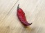 Hot Pepper 'Redgum Tiger MAMP x Chocolate Nagabrains' Seeds (Certified Organic)