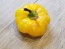 Sweet Pepper ‘Paradicsum Alaku Sarga Szentes’ Seeds (Certified Organic)