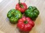 Sweet Pepper 'Liebesapfel' aka 'Love Apple' Seeds (Certified Organic)