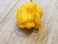 Hot Pepper ‘Trinidad Scorpion Orange’ Seeds (Certified Organic)