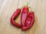 Hot Pepper 'Anaheim' 