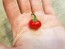 Sweet Pepper ‘Baby Red Bell' Seeds (Certified Organic)