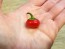Sweet Pepper ‘Baby Red Bell' Seeds (Certified Organic)
