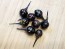 Hot Ornamental Pepper ‘Black Pearl' Seeds (Certified Organic)