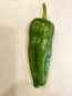 Sweet Pepper 'Spanish Mammoth' AKA 'Doux D'Espagne' Seeds (Certified Organic)