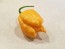 Hot Pepper ‘Peach Carolina Reaper'