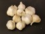 Certified Organic Oregon Blue Culinary Garlic Harvested on our Farm - 4 oz. Bag