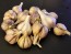 Certified Organic Korean Mountain Culinary Garlic Harvested on our Farm - 4 oz. Bag