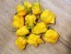 Hot Pepper ‘Bonda Mahala' Seeds (Certified Organic)