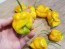 Hot Pepper ‘Bonda Mahala' Seeds (Certified Organic)