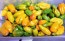 Hot Pepper ‘CGN 21500 x Isabela Island Galapagos Habanero' Seeds (Certified Organic)