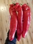 Pepper 'Super Sweet Giant Red' Seeds (Certified Organic)