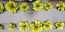Lettuce 'Freckles' Seeds (Certified Organic)