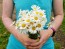 Wild Daisy Bouquet