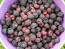 Black Raspberry Seeds (Certified Organic)