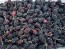 Black Mulberry Seeds (Certified Organic)