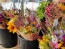 Mixed Wildflower Bouquet